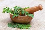Mengatasi Anemia dengan Nutrisi Tinggi pada Daun Kelor